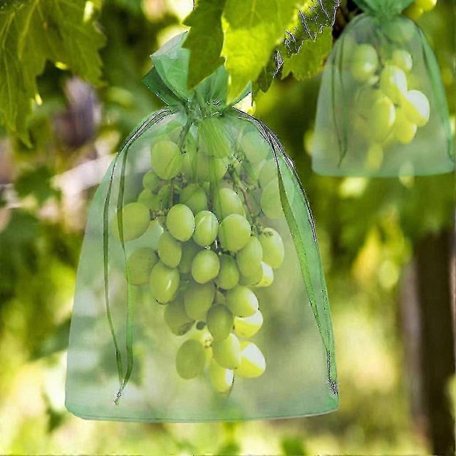 100 Pack Organza Drawstring Bags for Fruit Protection, 30x20cm & 10x15cm, Durable and Reusable Mesh Storage Solution