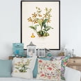 thumbnail image 2 of Designart 'Ancient Flower I' Traditional Framed Canvas Wall Art Print, 2 of 5