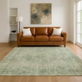 thumbnail image 6 of Addison Rugs Chantille Indoor/Outdoor Traditional Global Aloe Machine Washable Rectangle Rug, 10' x 14', 6 of 8