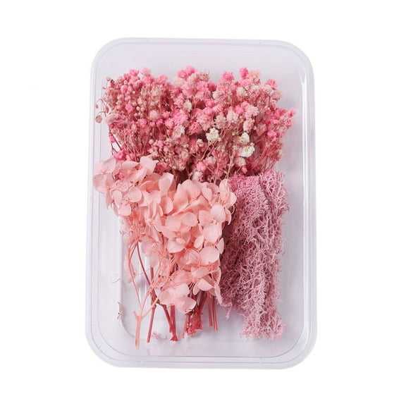 5 box Dried Flowers DIY Candle Soap Making Accessories with Plastic Rectangle box Pink 7.3~14x2.1~8.2cm