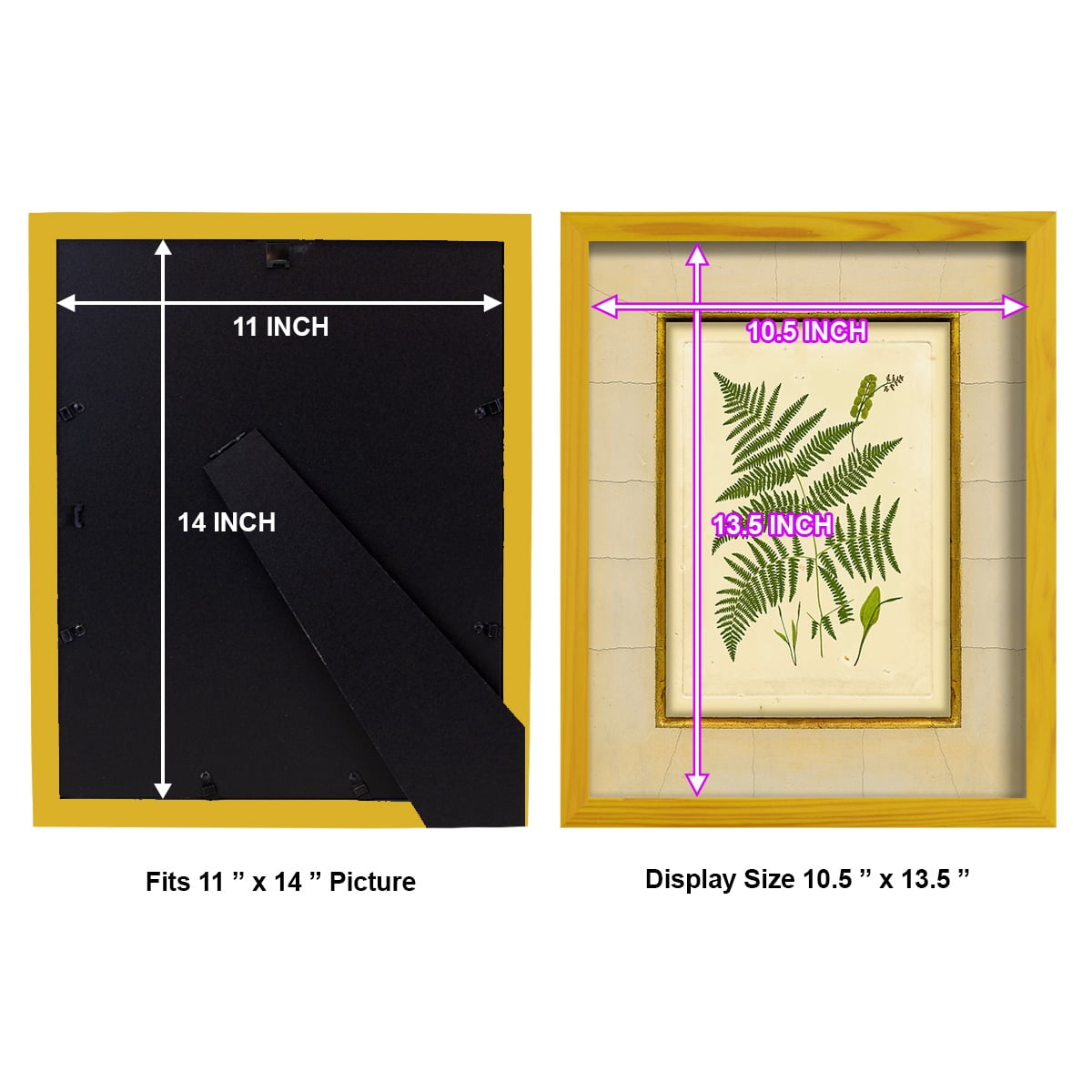 Fern with Crackle Mat (H) IV - Framed Print w/glass - Sunflower Yellow