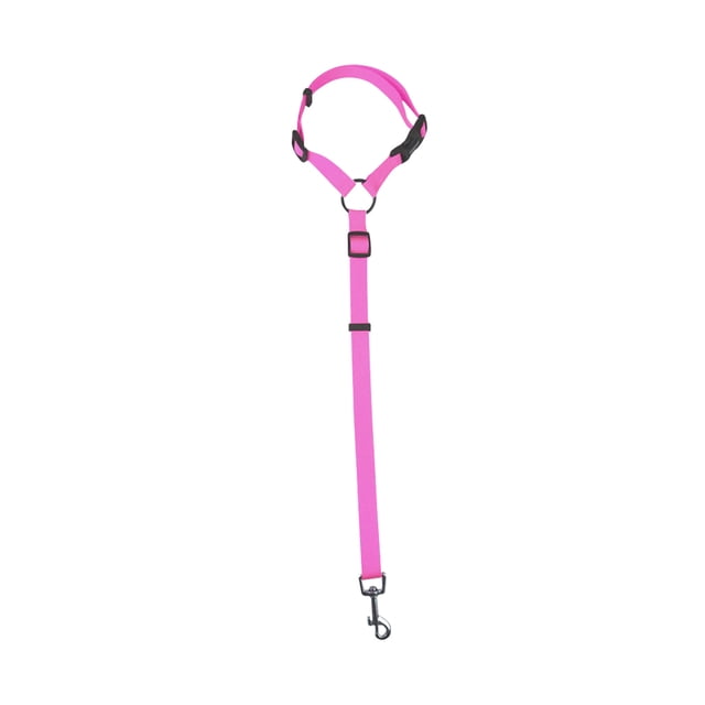 LSLJS Pet Car Rope Dog Car Belt Rear Traction Belt Traction Rope, Pet Supplies