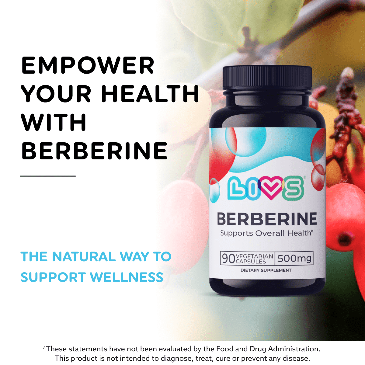 LIVS Berberine Capsules 500mg – Cholesterol, Triglyceride & Gut Health Support, Vegan Supplement – 90 Count