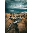 thumbnail image 2 of Larsson, Dan 11x14 Gold Ornate Wood Framed with Double Matting Museum Art Print Titled - Drift Wood, 2 of 4