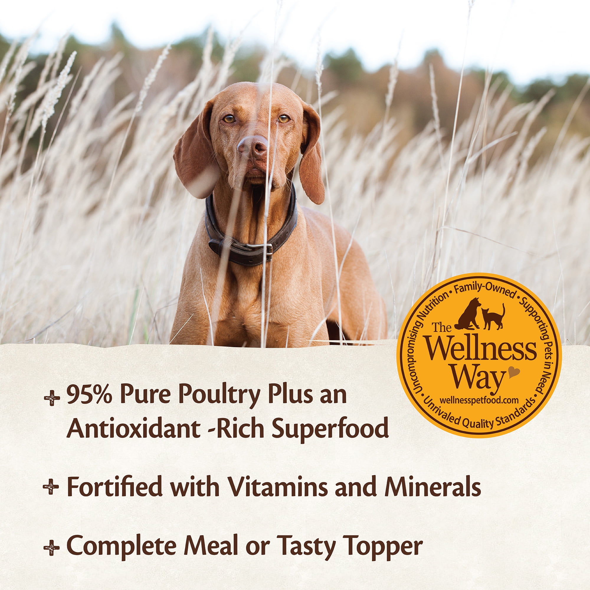 wellness core 95 dog food