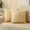 thumbnail image 2 of Double-Sided Velvet Pillowcase Square Pillowcase Home Sofa Decorative Cushion Cover, 2 of 10