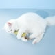 thumbnail image 5 of Juguete para gatos Ratón de simulación Gato Menta Polygonum de madera Divertido palo para gatos Autofelicidad y alivio del aburrimiento Gato Gato Menta Suministros para mascotas (gris), 5 of 8