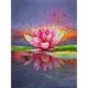 thumbnail image 1 of Cuadros Decorativos 5D DIY Diamond Painting Kits Full Round Drill Lotus Flower Mosaic Picture Decor DQrwqpou Nuevos Originales, 1 of 8