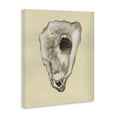 thumbnail image 3 of Stupell Industries Traditional Oyster Sea Creature Canvas Art, 16 x 20, by Michael Willett, 3 of 8