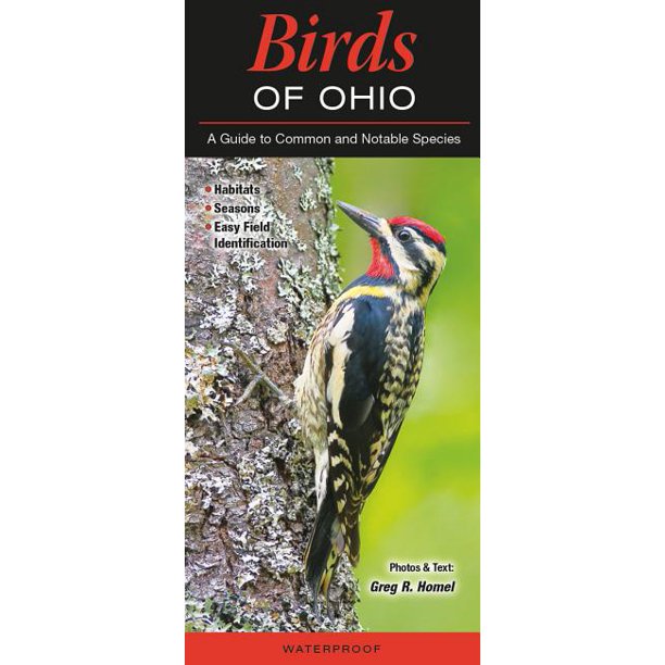 Birds of Ohio A Guide to Common & Notable Species (Other) Walmart