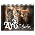 YFVVCZC 2025 Cat Calendar,Calendar