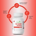 thumbnail image 2 of Simple Life Nutrition Tart Cherry Capsules - Sleep Support & Uric Acid Cleanse, 2 of 4