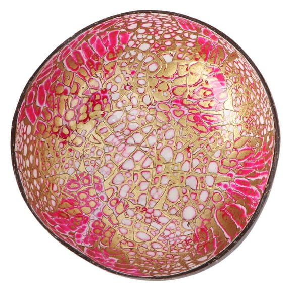 LEORX Pink Coconut Shell Key Bowl Unique Storage Container for Home Decoration and Organizing 8.5 Inch