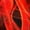 Red, variant on Boys Quick Dry Swim Trunks with Compression Liner Solid Color Stretch Polyester Spandex Swim Shorts for Beach Pool Swimming Water Sports 180g