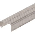 Fastener 504M1 1/4" T50 Monel Staples