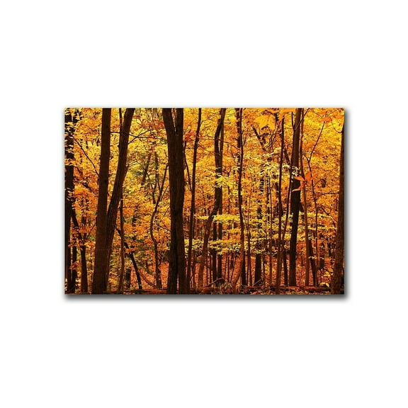 Trademark Art "Delicious Autumn" Canvas Art by CATeyes