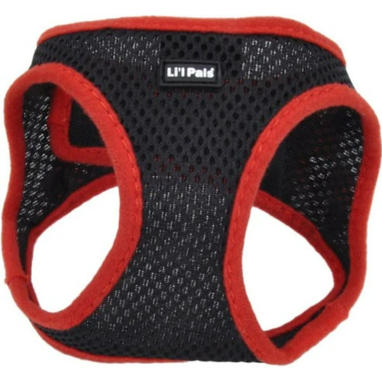 Lil pals harness online
