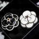 thumbnail image 3 of Broche de flores CHAO elegante broche de bellas artes sencillo blanco, 3 of 4