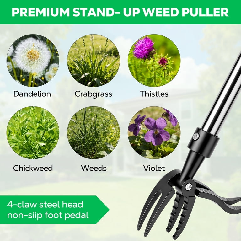 Ohhani Adjustable Weed Puller, 4-Section Handle, Detachable Head photo 2