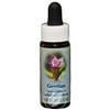 (3 Pack) FLOWER ESSENCE SERVICES Gentian Dropper 0.25 OUNCE