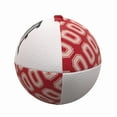 thumbnail image 3 of Logo Brands Ohio State Mini Rubber Footballs, 5.80" x 12.35" x 5", 0.75 lbs, 3 of 4