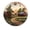 FFclock094, variant on ZXCXRQFa Silent Clocks Space Near Earth Silent Wall Clock for Bathroom Indoor Decoration No Ticking 10 Inch Round Small Clock for Hospital Classroom Home Living Room