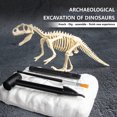 thumbnail image 4 of EGNMCR Dinosaur Digging, Dinosaur Digging, Educational Science Kit For Boys, Dinosaur Skeleton Digging Kit For Girls Gift for Boys and Girls, 4 of 7