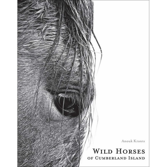Anouk Masson Krantz Wild Horses of Cumberland Island, (Hardcover)