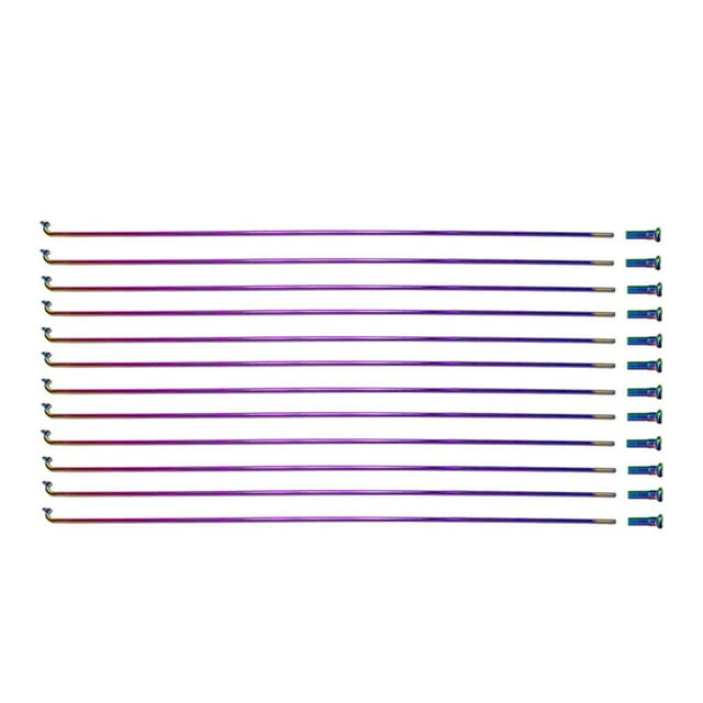 12 Pcs Pièces de Vélo Rayons de Cyclisme Rayons Acier Inoxydable 304 Roue de Route de Montagne Vélo pour 26/27.5/29