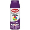 Krylon K05191402 Rich Plum Interior and Exterior Decorator Paint - 12 oz. Aerosol
