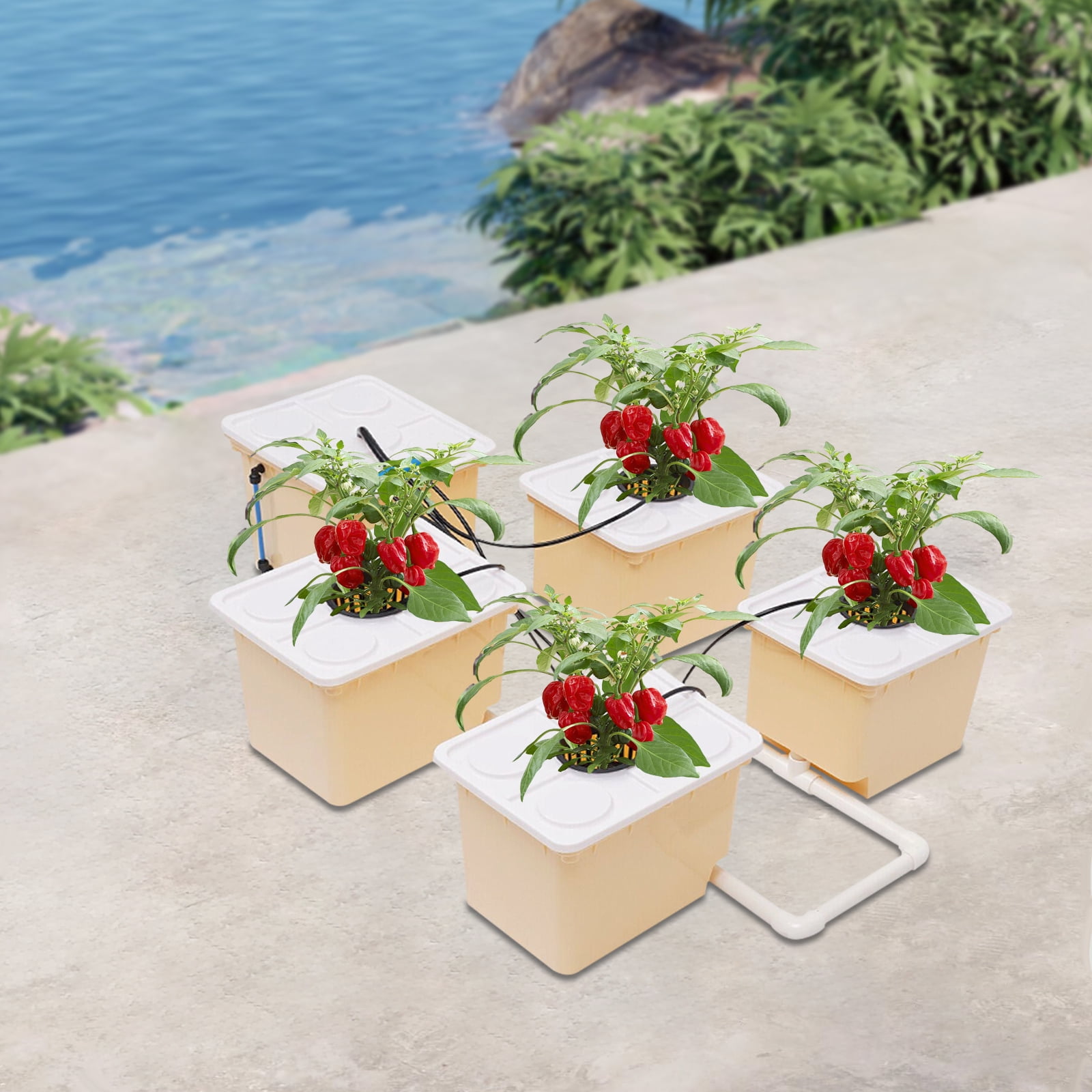 5 Bucket DWC Hydroponic Growing System, PP&UV Material Indoor Outdoor Drip Irrigation Kit with 11L Capacity Per Bucket, Complete Accessories Included for Vegetables Herbs Flowers