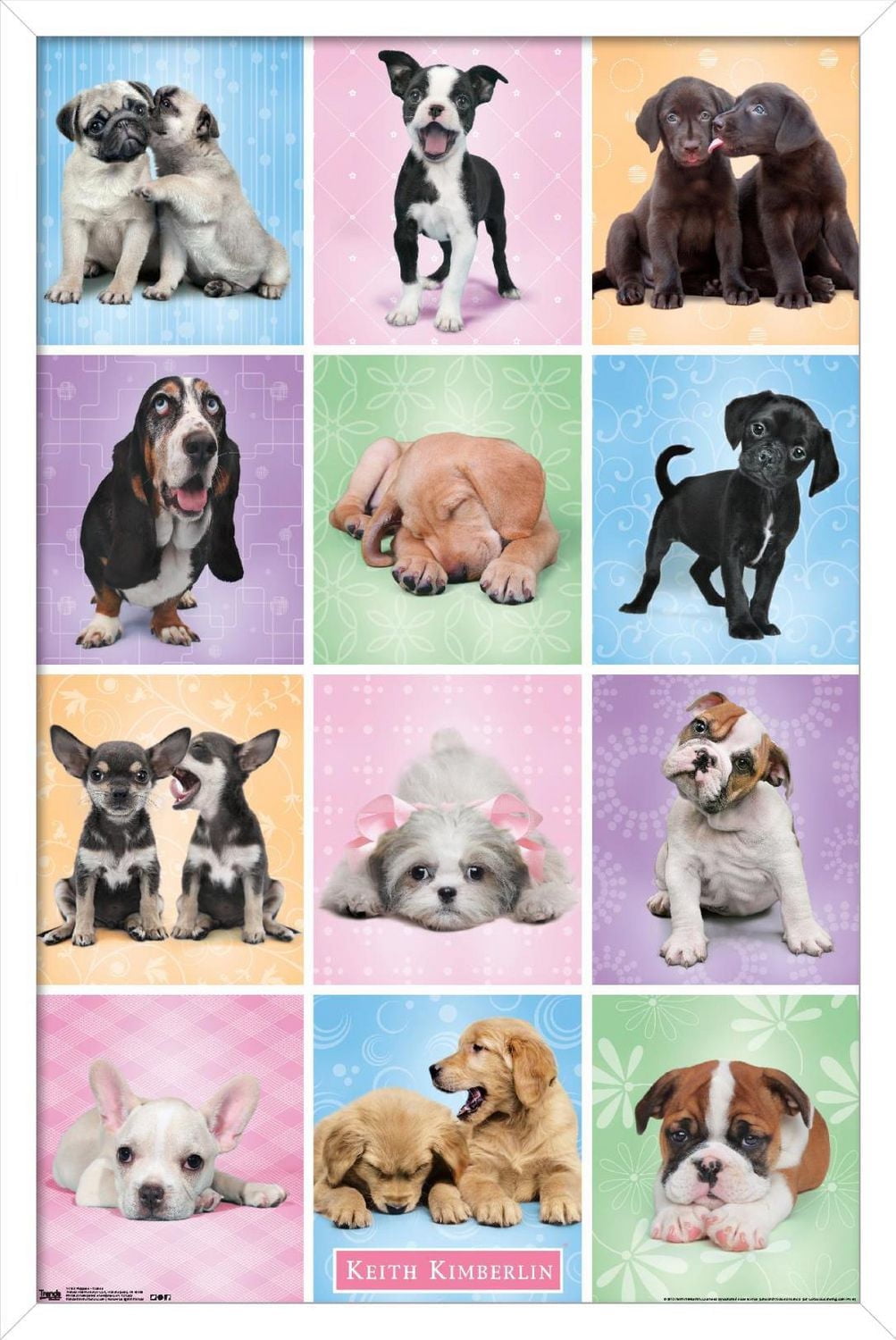 Keith Kimberlin - Puppies - Cuties Grid Wall Poster