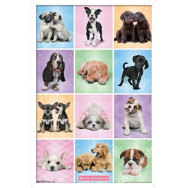 Keith Kimberlin - Puppies - Cuties Grid Wall Poster, 22.375" x 34"