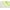 Fresh Lime, variant on Comfortview Women's CV Sport Eddie Sneaker