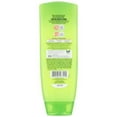 thumbnail image 2 of Garnier Conditioner, Sleek and Shine, 13 Fluid Ounce [], 2 of 2