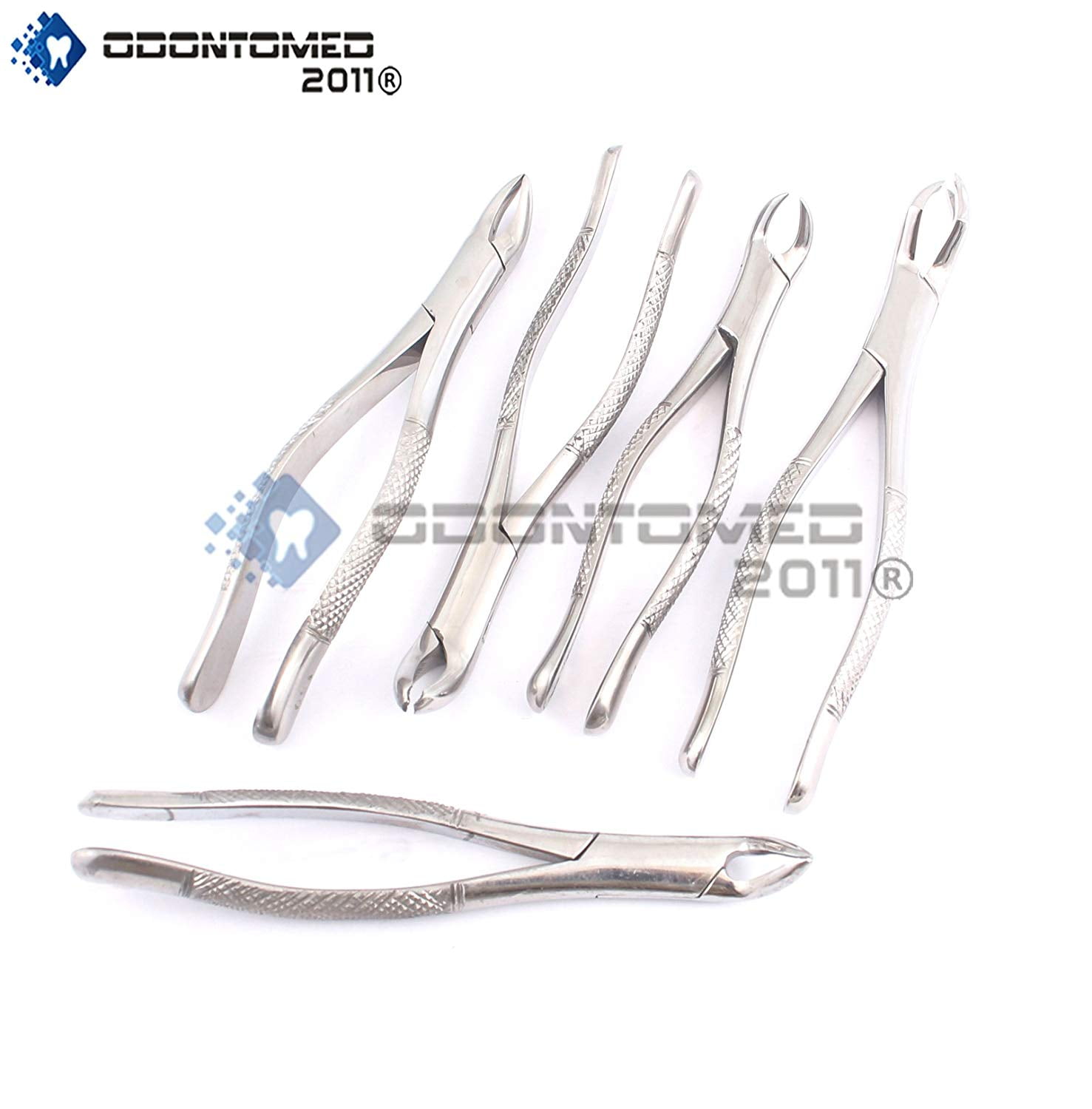 Odontomed2011® New Premium Grade Dental Extracting Extraction Forceps