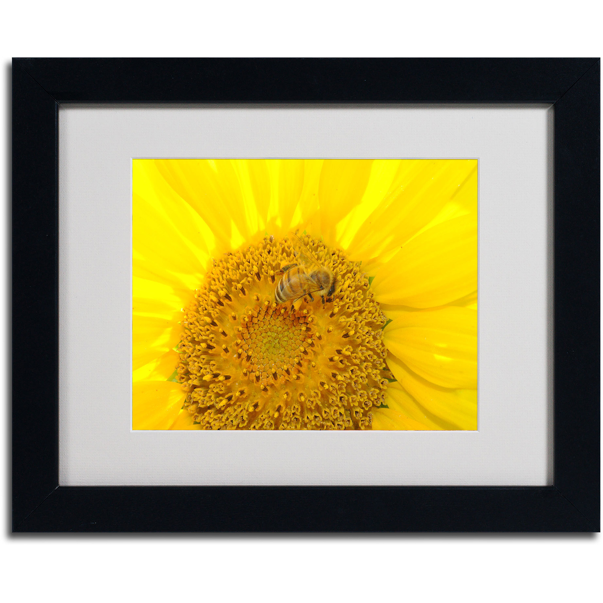 Trademark Fine Art "Honey-Maker" by Monica Fleet, Black Frame
