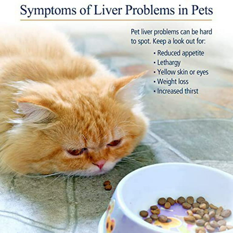 Milk thistle for cats petsmart online