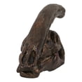 thumbnail image 3 of Faux Taxidermy Replica Parasaurolophus Dinosaur Head Fossil Small Skull Figurine, 3 of 10