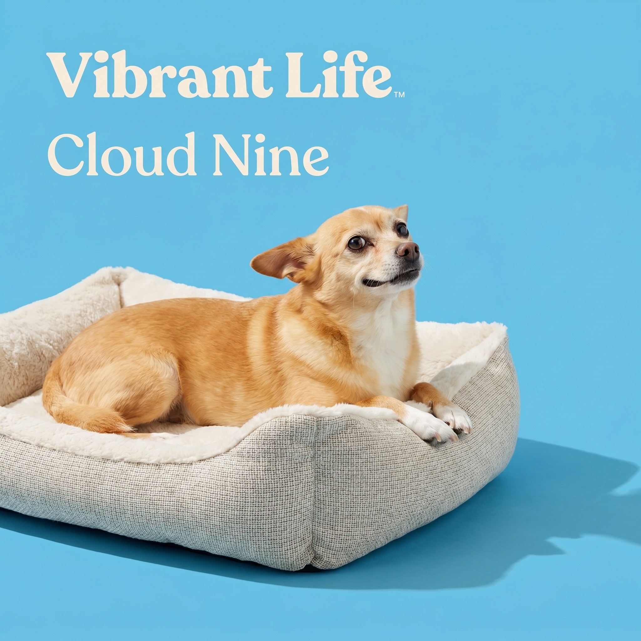 Vibrant Life Medium Luxe Cuddler Pet Bed, Cream, 27"x21" photo 4