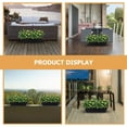 thumbnail image 4 of Window Box Planter, 17 inches Rectangle Planters Box with Drainage Holes and Trays,Flower Indoor Outdoor Boxes, Plastic Vegetable Planters for Windowsill Patio Garden Home Decor Porch Yard,Black, 4 of 8