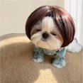 thumbnail image 5 of Peluca divertida de cosplay para perros, ropa para la cabeza, disfraces de Toypet, vestido de gato para Hallo Feliz Sencillez, 5 of 5