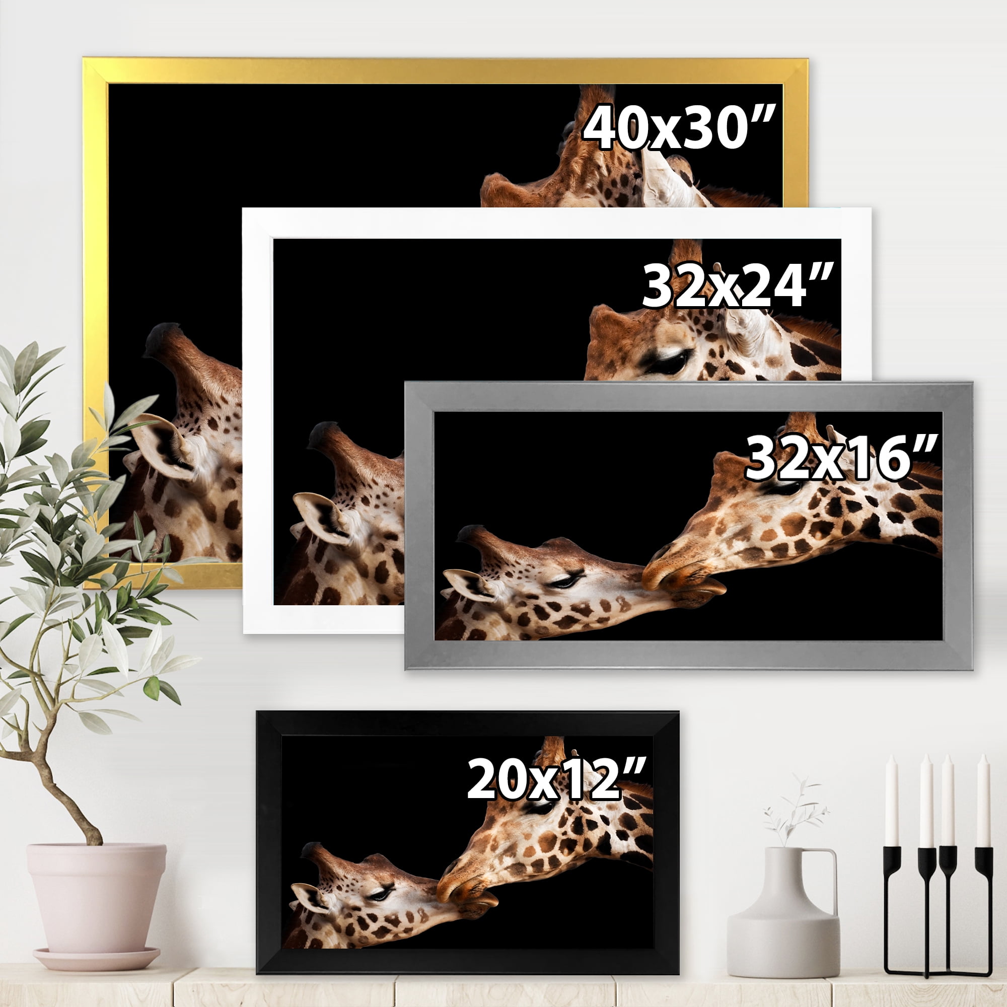 Designart 'Close UP Of Two Giraffes Kissing II' Farmhouse Framed Art Print