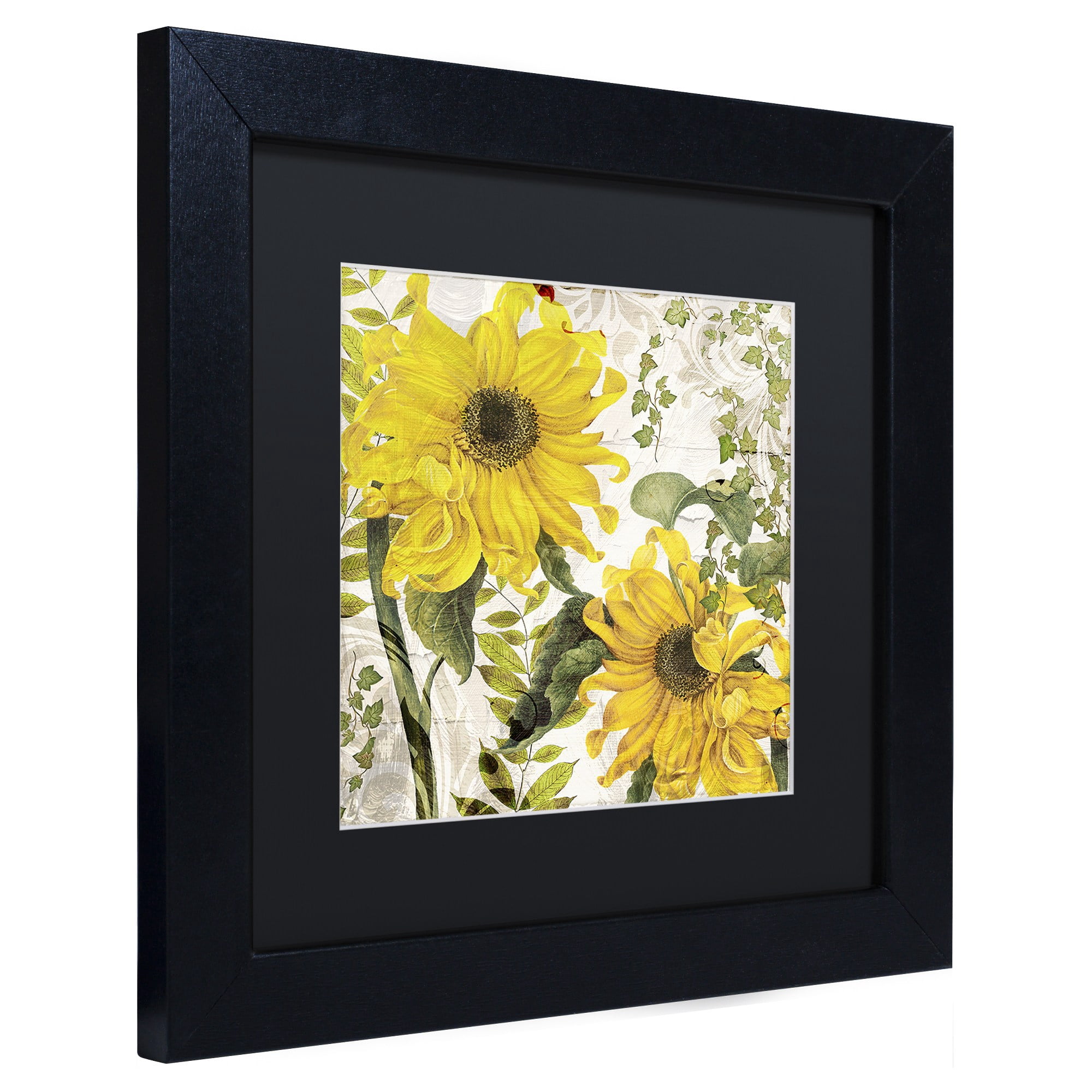 Trademark Fine Art "Carina I" Canvas Art by Color Bakery, Black Matte, Black Frame