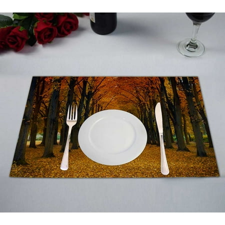 

PKQWTM Maple Alley Kitchen Dining Table Mats Placemats Size 12x18 Inches Set of 2 Pieces