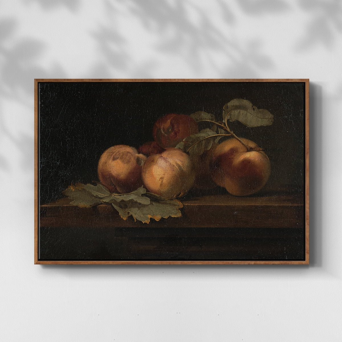 Vintage Botanical Print-LXXIX By Wexford Home Framed in Walnut Wood Gallery Wrapped Canvas 25 in. x 37 in.