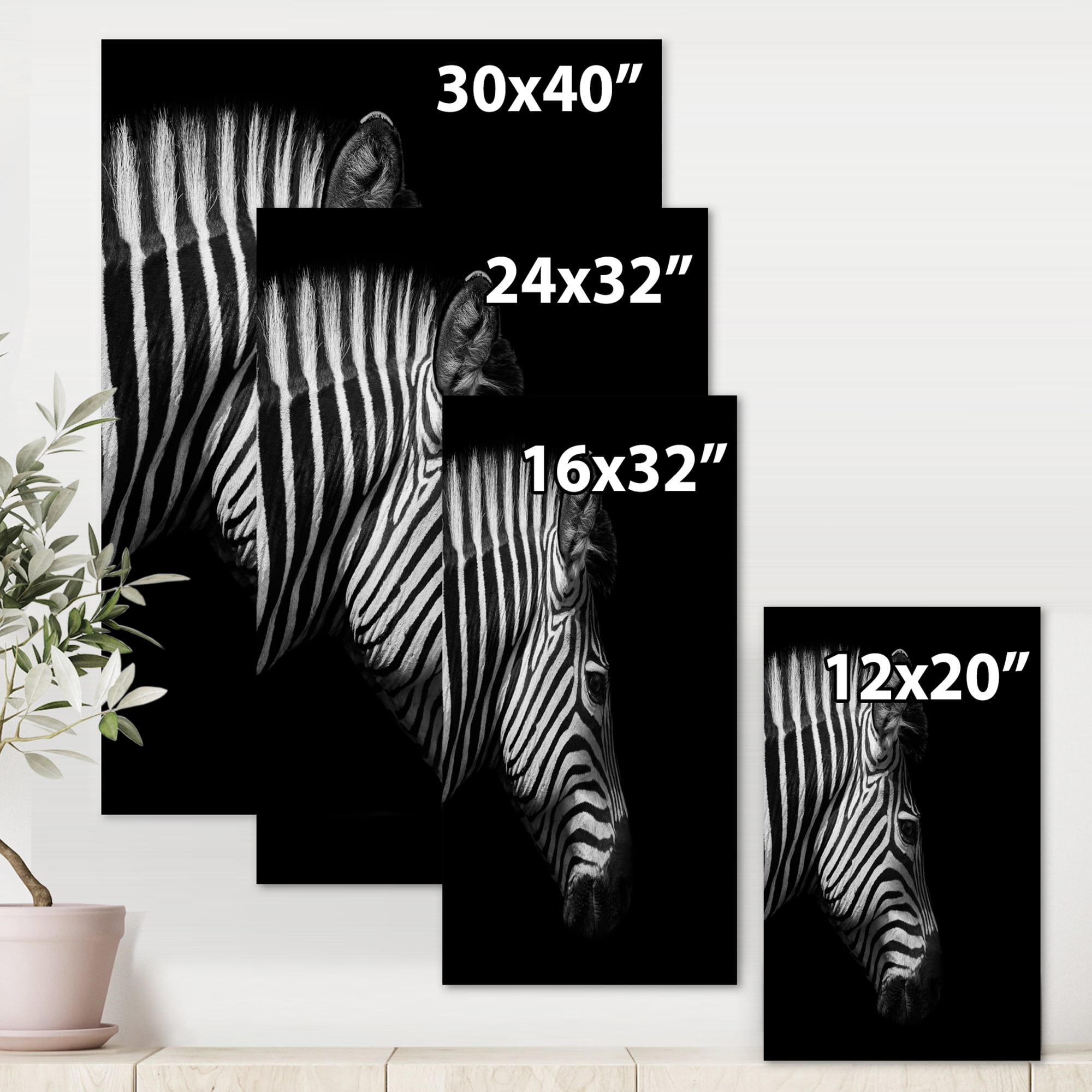 Designart ' Black and White Portrait of Zebra Head ' Farmhouse Canvas Wall Art Print