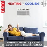 OLMO TTW 8000 BTU 115V Through the Wall Air Conditioner Heating and Cooling with Remote Control and WiFi R32 Refrigerant