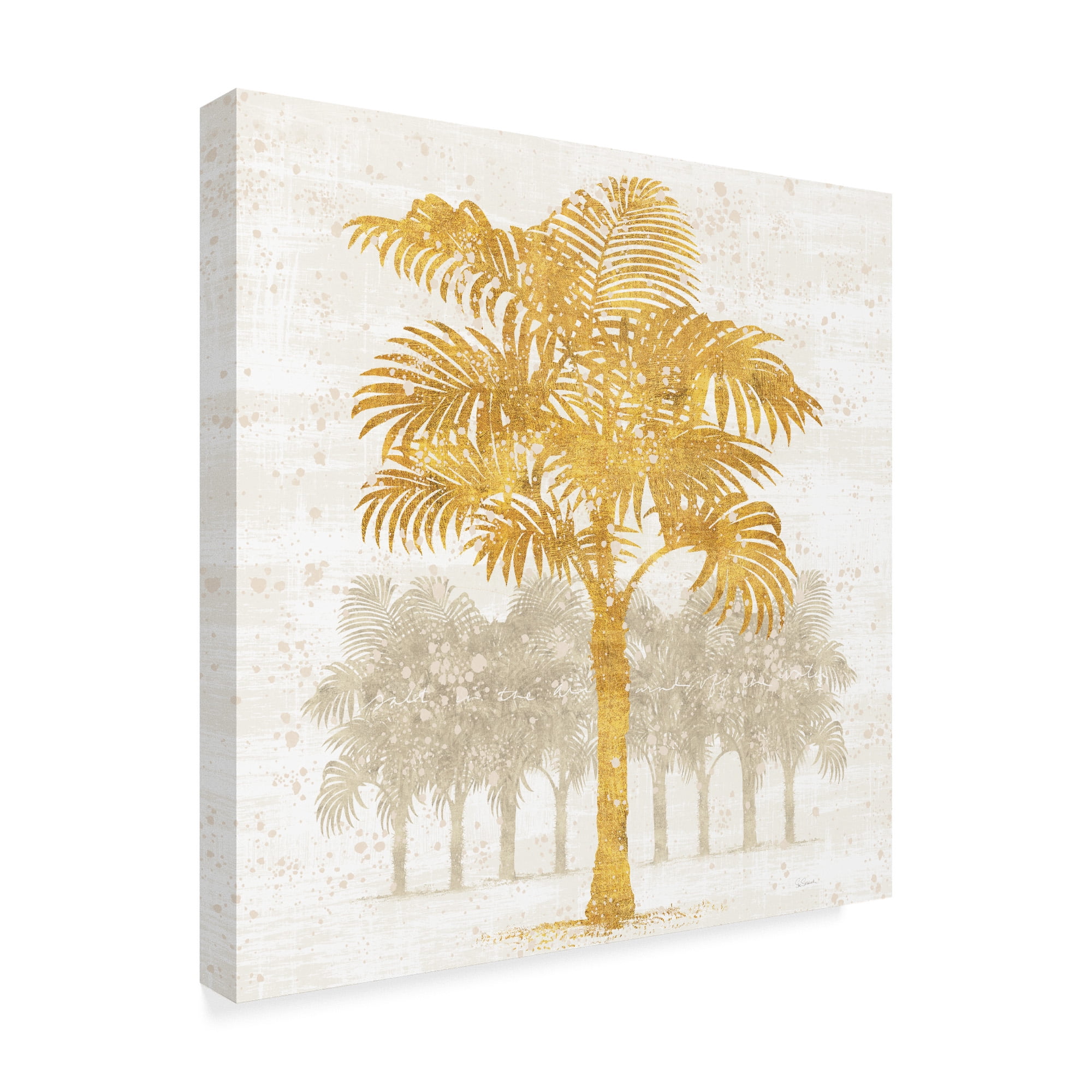 Trademark Fine Art 'Palm Coast III' Canvas Art by Sue Schlabach
