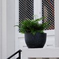 Gardrium 10/9/8 in Round Black Plastic Plant Pot with Drainage Holes (3